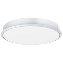 Ranger RWS DC Ceiling Fan with LED Light